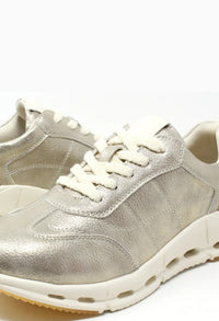 Dawson Trainer