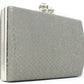 Metallic Clutch Bag