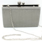 Metallic Clutch Bag