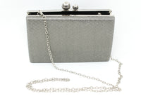 Metallic Clutch Bag