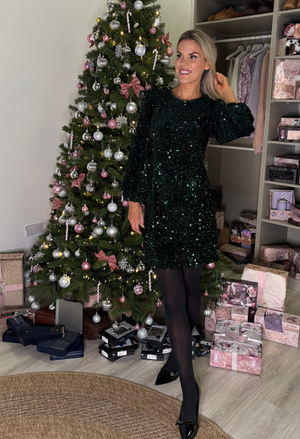 Velvet Sequin Dress