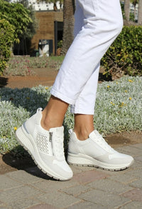 Cameron Wedge Trainer