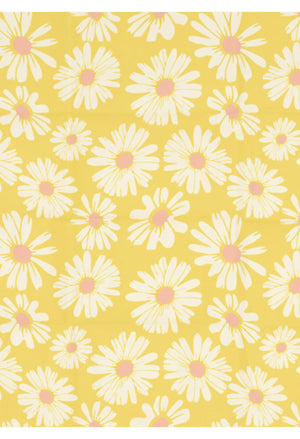 Beeswax Wraps