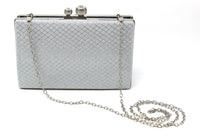 Metallic Clutch Bag