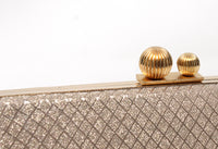 Metallic Clutch Bag