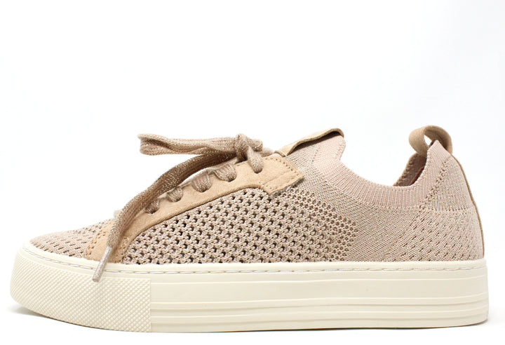 Shimmer Trainer