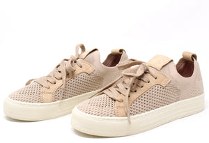 Shimmer Trainer