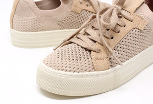 Shimmer Trainer