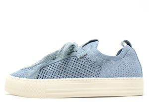 Shimmer Trainer