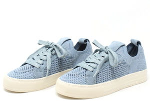 Shimmer Trainer