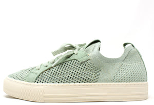 Shimmer Trainer