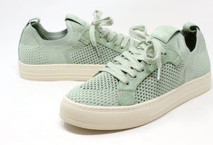 Shimmer Trainer
