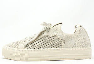 Shimmer Trainer