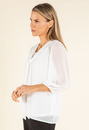 Pussy Bow Chiffon Blouse