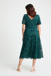 Victoria Angel Sleeve Mesh Midi Curve+ Dress