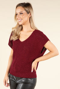 Lurex Knit Short Sleeve Top
