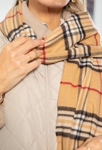 Soft Check Scarf