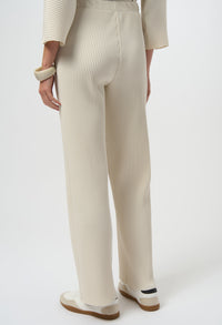Relaxed Pleated Trousers