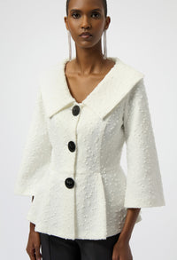 Formal Shawl Collar Blouse