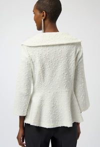 Formal Shawl Collar Blouse