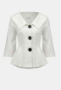 Formal Shawl Collar Blouse