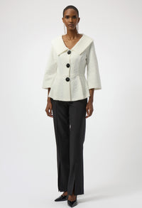 Formal Shawl Collar Blouse