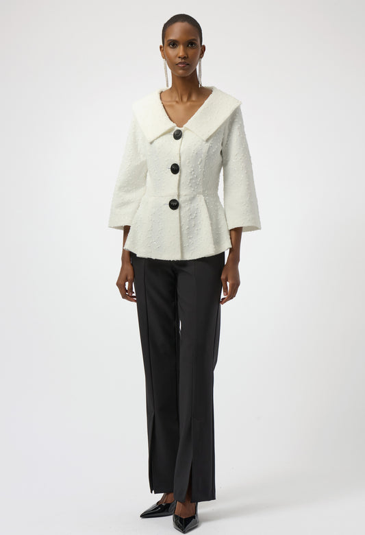 Formal Shawl Collar Blouse