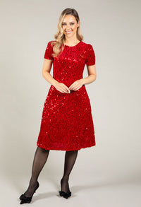 Velvet Sequin Dress