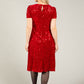 Velvet Sequin Dress
