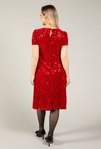 Velvet Sequin Dress