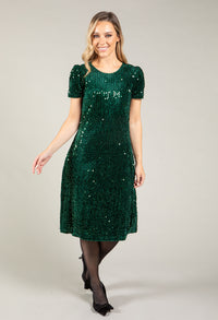 Velvet Sequin Dress