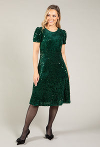 Velvet Sequin Dress