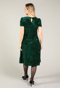 Velvet Sequin Dress