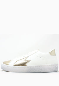 Metallic Star Trainer