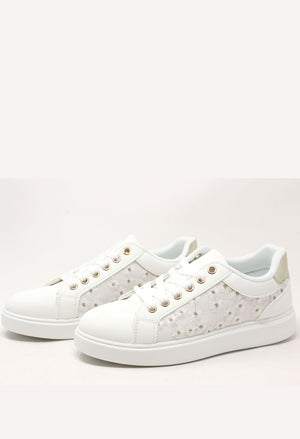 Daisy Trainer