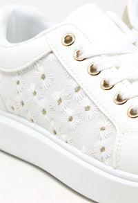 Daisy Trainer