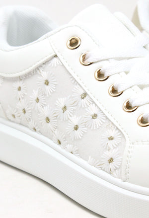 Daisy Trainer