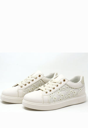 Daisy Trainer