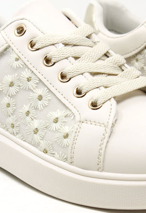 Daisy Trainer