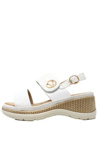 off white wedge