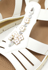Dolly Wedge