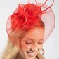 Feather & Diamante Detail Fascinator
