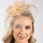 Feather & Diamante Detail Fascinator