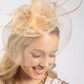 Feather & Diamante Detail Fascinator