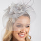Feather & Diamante Detail Fascinator