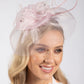 Feather & Diamante Detail Fascinator