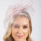 Feather & Diamante Detail Fascinator