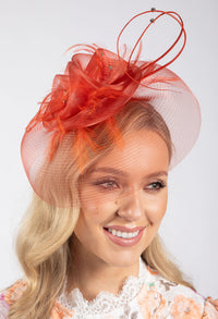 Feather & Diamante Detail Fascinator