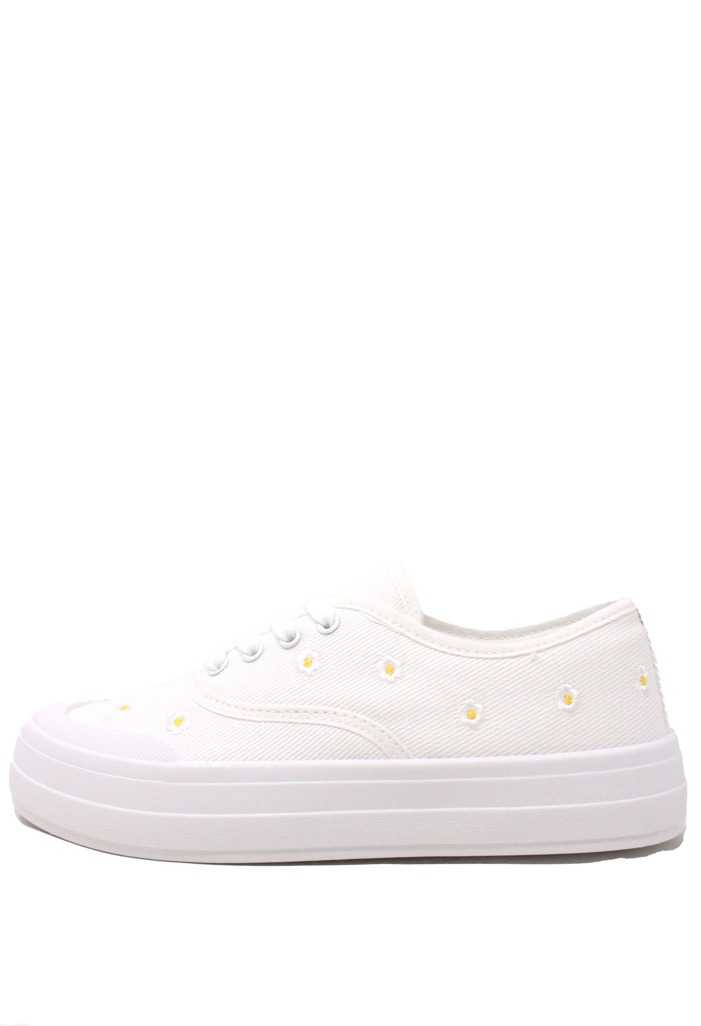 Daisy Trainer