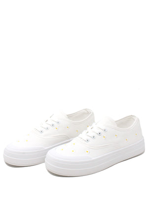 Daisy Trainer